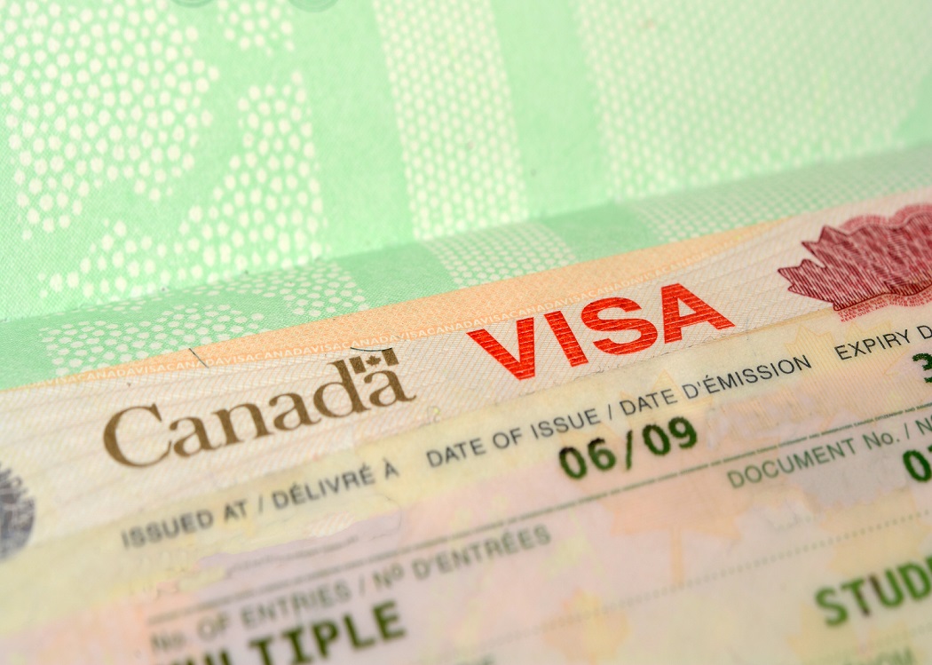 Visitor visa. Visa Canada 2020. Виза в Канаду. Visitor visa Canada. Канадская виза для фотошопа.